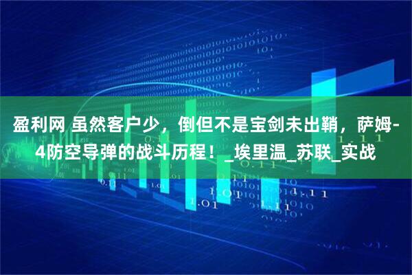 盈利网 虽然客户少，倒但不是宝剑未出鞘，萨姆-4防空导弹的战斗历程！_埃里温_苏联_实战