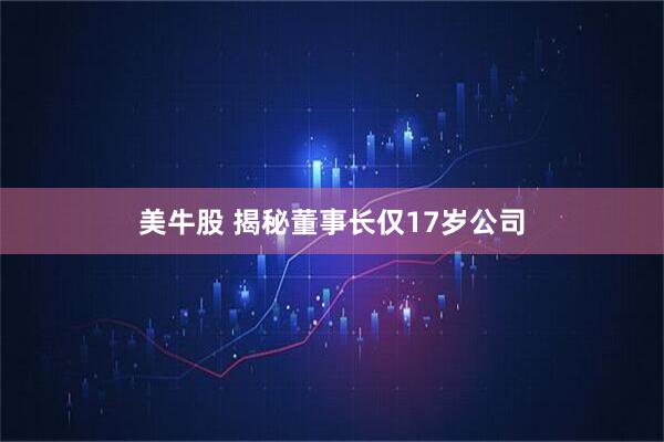 美牛股 揭秘董事长仅17岁公司