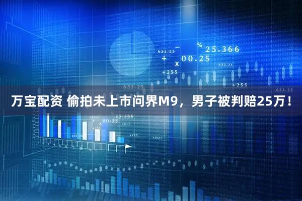 万宝配资 偷拍未上市问界M9，男子被判赔25万！